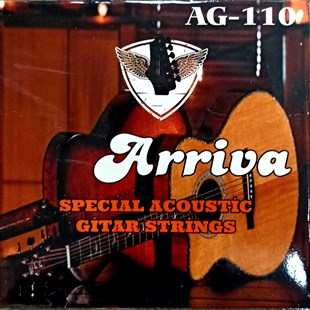Arriva AG110 Akustik Gitar Tel Seti ( 0,10 )